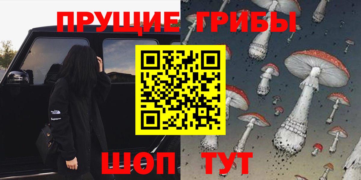 Галлюциногенные грибы Psilocybe  Вход с VPN  Заводоуковск 